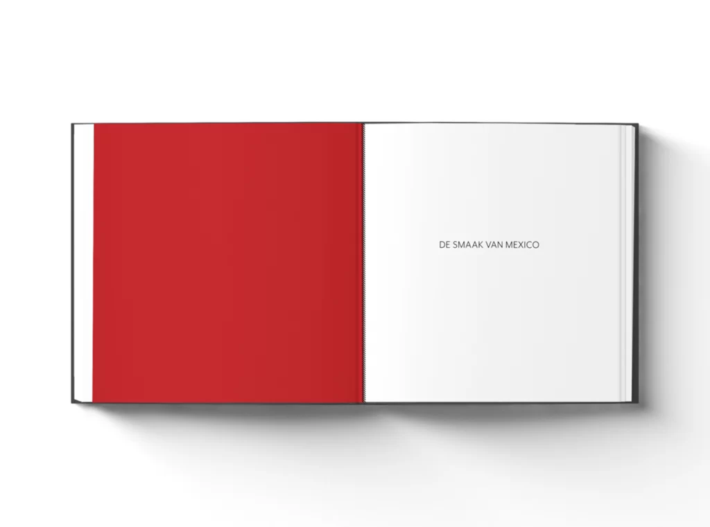De_Smaak_van_Mexico_boek_VivaLa-1